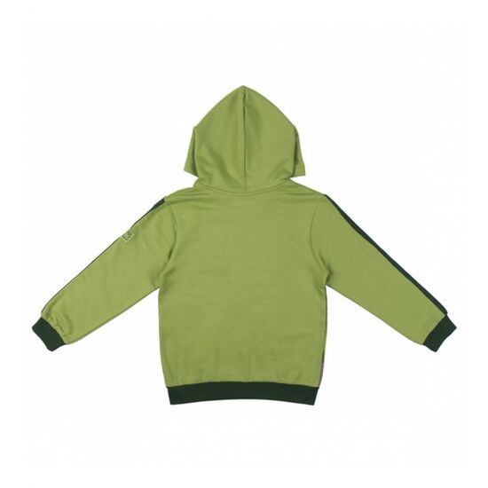 Avengers - Sudadera con capucha de algodn de Hulk 6A