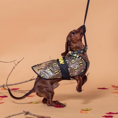 Batman - Impermeable ajustable para perro L