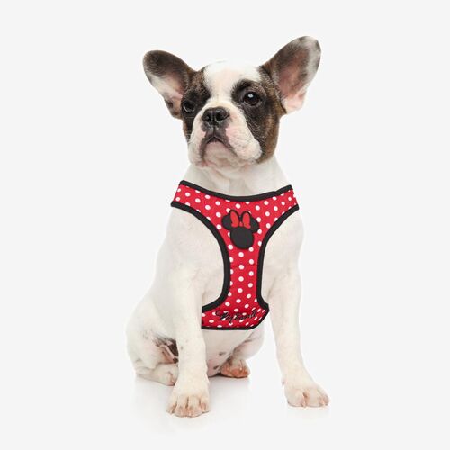 Minnie - Arns para perros y gatos S/M