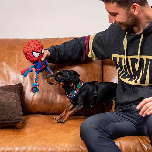 Avengers - Arnés para perros y gatos XXS/XS