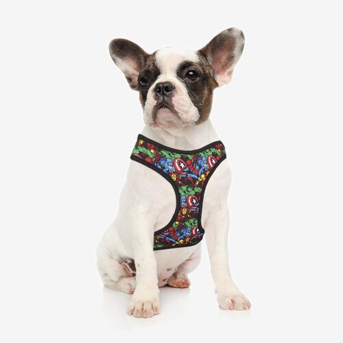 Avengers - Arnés para perros y gatos XXS/XS