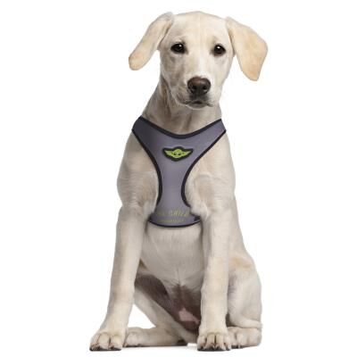 The Mandalorian - Arns para perros tamao M/L